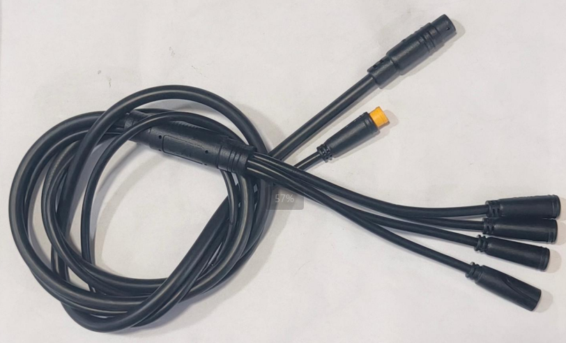 Two-to-four Main Cable for iX8