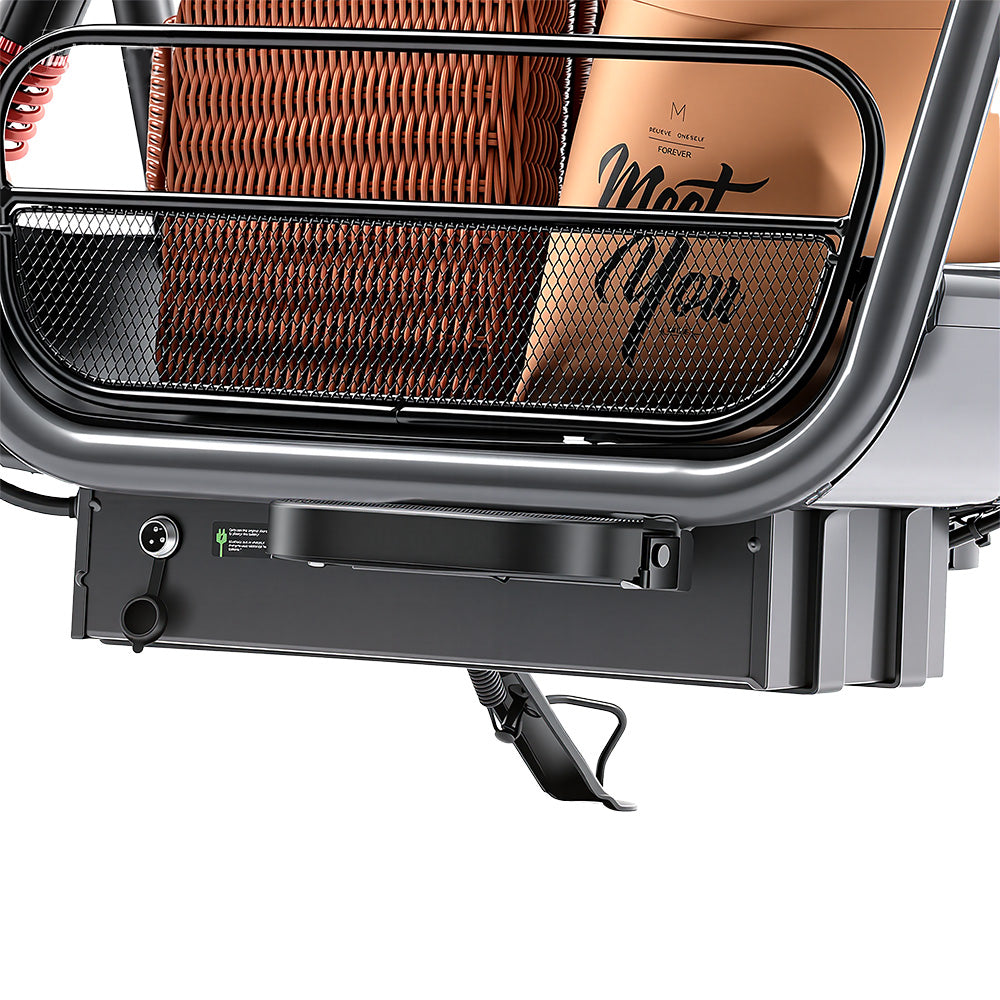 iScooter DX5 Cargo Electric Scooter with Seat