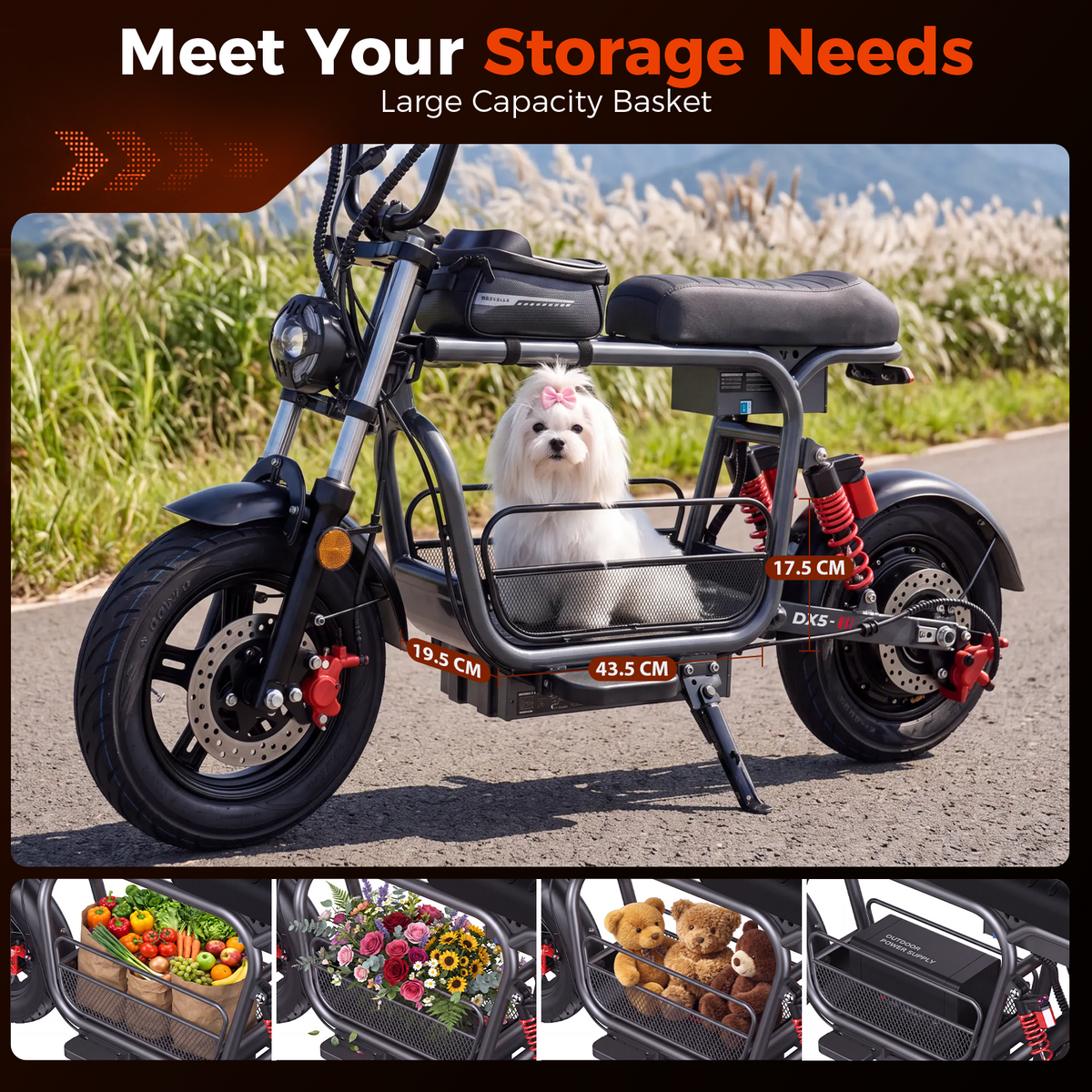 iScooter DX5 Cargo Electric Scooter with Seat