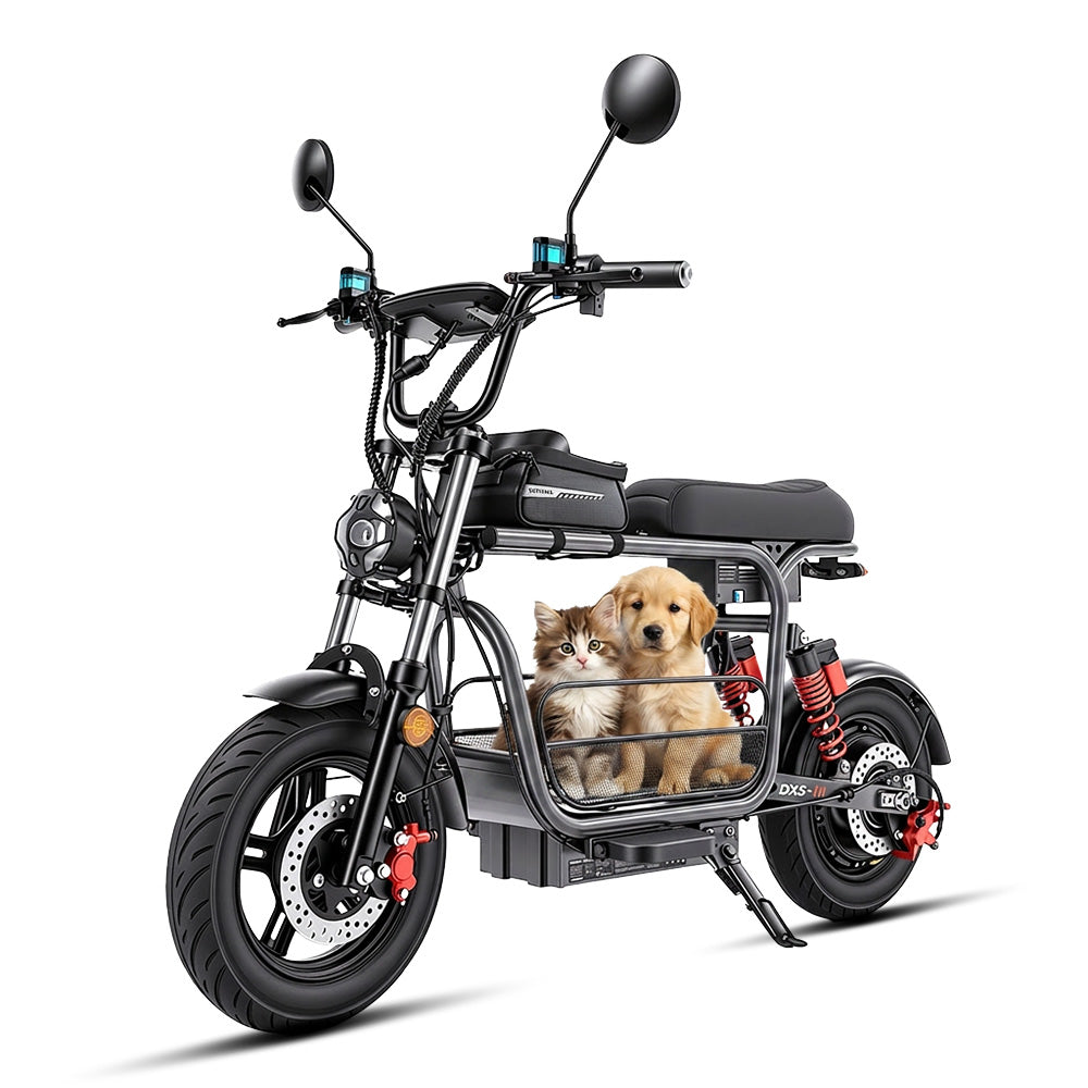 iScooter DX5 Cargo Electric Scooter with Seat