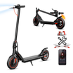 iScooter i9M 500W Commuting Electric Scooter